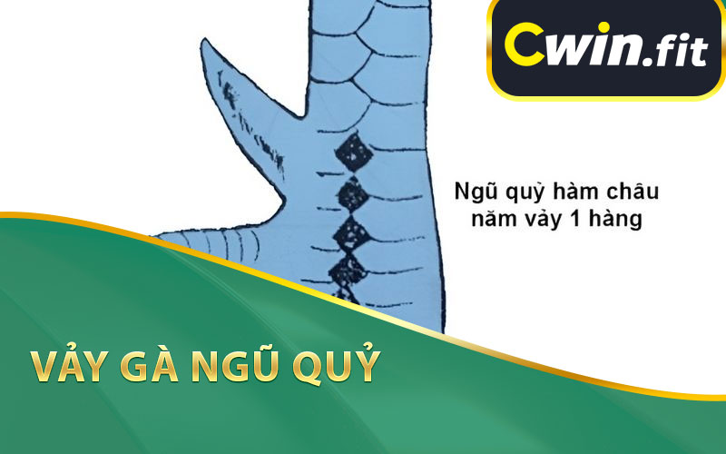 Vảy Gà Ngũ Quỷ